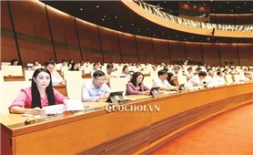 Kỳ họp thứ 8, Quốc hội khóa XIV: Thảo luận về công tác cán bộ