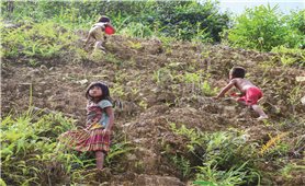 Báo động về tỷ lệ tử vong trẻ dưới 5 tuổi ở Điện Biên Đông