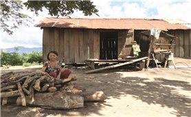 Nút thắt trong giảm nghèo ở Kông Chro
