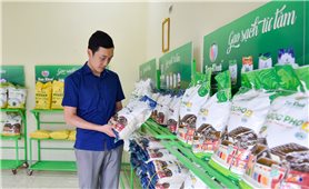 Liên kết sản xuất giữa nông dân và doanh nghiệp: Nâng cao giá trị hạt gạo xứ Thanh