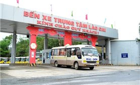 Lào Cai: Vận tải hành khách công cộng hoạt động trở lại