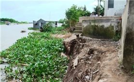 An Giang: Chi 70 tỷ đồng xử lý khẩn cấp sạt lở bờ sông Hậu