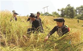 Người dân Kan Hồ chưa có đất sản xuất sau 5 năm định cư