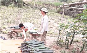 Chủ động trong công tác phòng, chống hạn hán