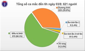 Thêm 1 ca mắc mới COVID-19 ở Quảng Ngãi, Việt Nam có 621 ca bệnh