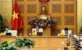 Lãnh đạo địa phương chịu trách nhiệm nếu xảy ra vi phạm trong phòng, chống dịch