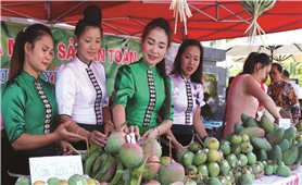 Phát triển thương mại miền núi, vùng sâu, vùng xa và hải đảo: Thu hẹp khoảng cách giữa các vùng, miền