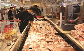 Ngành chăn nuôi: Nỗ lực bảo đảm nguồn cung thịt lợn