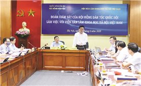 Đoàn giám sát của Hội đồng Dân tộc làm việc với Viện Hàn lâm Khoa học xã hội Việt Nam