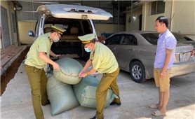 Thu giữ hàng trăm kg dược liệu thuốc bắc không rõ nguồn gốc tại Lạng Sơn