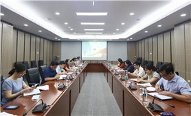 Rà soát công tác chuẩn bị Đại hội Đại biểu toàn quốc các DTTS Việt Nam lần thứ II