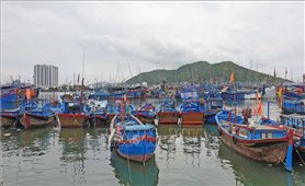 Ngư dân công nghệ cao ở Khánh Hòa