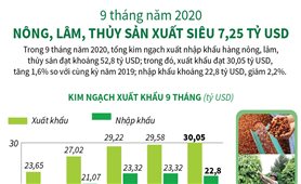 9 tháng năm 2020: Nông, lâm, thủy sản xuất siêu 7,25 tỷ USD