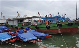 Nghệ An: Triển khai nhanh nhiều biện pháp đối phó bão số 7