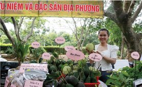 Hợp tác xã ở Phú Yên: Góp phần hiệu quả xây dựng nông thôn mới