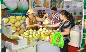 Vai trò của kinh tế tập thể trong nông nghiệp ở Kiên Giang