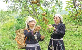 Tuyên Quang: Khởi sắc từ xây dựng nông thôn mới