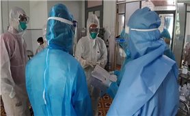 68 ngày, Việt Nam không ghi nhận ca mắc COVID-19 trong cộng đồng (tính đến 7h, ngày 9/11/2020)