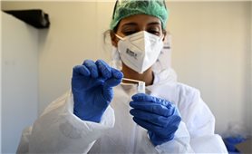 Hơn 53,7 triệu ca mắc Covid-19 trên thế giới, Mỹ liên tiếp chứng kiến kỷ lục “sốc