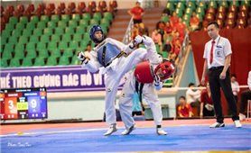 Hơn 300 vận động viên tham dự giải Vô địch Taekwondo quốc gia năm 2020