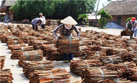 Yên Bái: Tháo gỡ khó khăn cho hợp tác xã nông nghiệp
