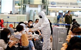 Ngày 10/12, Việt Nam có thêm 4 ca mắc Covid-19 đều trở về từ UAE