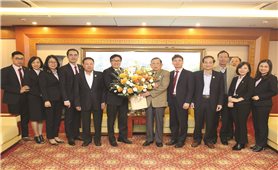 Ngân hàng CSXH chúc mừng Ngày thành lập Hội Cựu Chiến binh Việt Nam