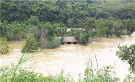 Đăk Nông: Bàn giải pháp hỗ trợ người dân bị ảnh hưởng do Thủy điện Buôn Kuốp xả lũ gây ngập lụt