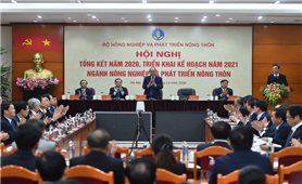 Thủ tướng Chính phủ Nguyễn Xuân Phúc: Ngành Nông nghiệp tiếp tục là trụ đỡ cho nền kinh tế