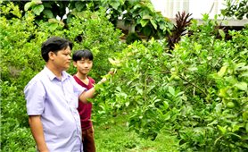 Tuyên Quang: Hỗ trợ sản xuất giúp giảm nghèo hiệu quả vùng DTTS