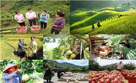 Ngân hàng chính sách xã hội Việt Nam: Thành quả quan trọng trong từng giai đoạn phát triển