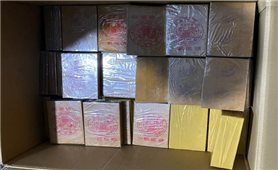 TP. Hồ Chí Minh: Triệt phá liên tiếp 03 vụ án ma túy, thu giữ khoảng 217kg ma túy các loại