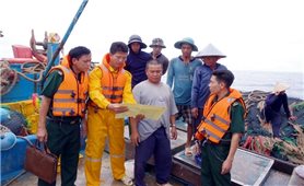 Bà Rịa - Vũng Tàu: Quyết liệt xử lý tàu cá khai thác hải sản bất hợp pháp