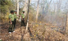 Tây Nguyên: Thực hiện các biện pháp khẩn cấp phòng chống cháy rừng