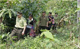 Yên Bái: Trao “chìa khóa” bảo vệ rừng cho người dân