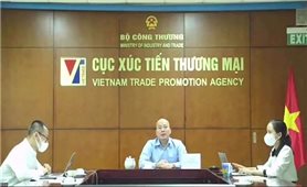Việt Nam - Singapore hợp tác để cùng phát triển xuất khẩu sang EU và Vương quốc Anh
