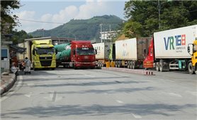 Lạng Sơn: Áp lực phòng chống dịch đảm bảo hoạt động xuất nhập khẩu