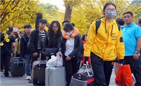 Hỗ trợ 3.000 vé xe cho sinh viên về quê đón Tết