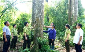 Thái Nguyên: Phát triển mô hình tự quản trong Nhân dân