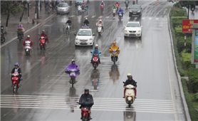 Dự báo thời tiết ngày 31/1: Không khí lạnh suy yếu, phía Bắc có mưa, trời rét; Hà Nội mưa nhỏ