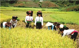 Nông nghiệp Việt Nam “biến nguy thành cơ…”