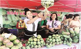 Sơn La - Một hiện tượng kinh tế nông nghiệp