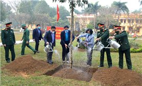 Đồng chí Trương Thị Mai phát động Tết trồng cây 