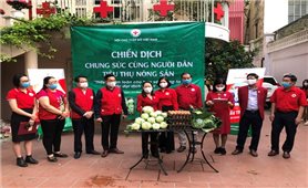 Phát động Chiến dịch “Chung sức cùng người dân tiêu thụ nông sản”