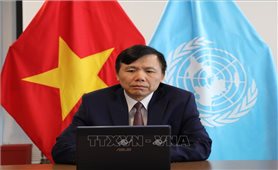 Việt Nam kêu gọi Myanmar chấm dứt bạo lực, tìm giải pháp thỏa đáng