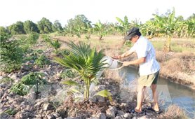 Cơ chế hỗ trợ phòng, chống khắc phục hậu quả hạn hán, thiếu nước, xâm nhập mặn