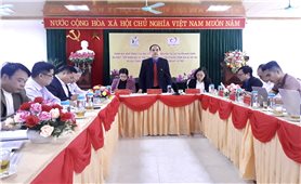Đánh giá hoạt động của bác sỹ trẻ tình nguyện về công tác tại vùng khó khăn tại tỉnh Cao Bằng
