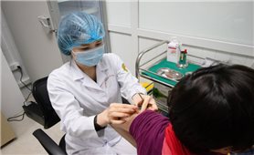 100% tình nguyện viên tiêm vắc xin phòng COVID-19 Nano Covax của Việt Nam đều sinh miễn dịch