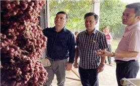 Ngân hàng Chính sách xã hội Sóc Trăng: Nỗ lực kết nối tiêu thụ hàng hoá cho nông dân