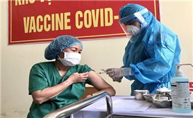Sáng 1/5: Không có ca bệnh; gần 510.000 người Việt Nam đã tiêm vaccine COVID-19